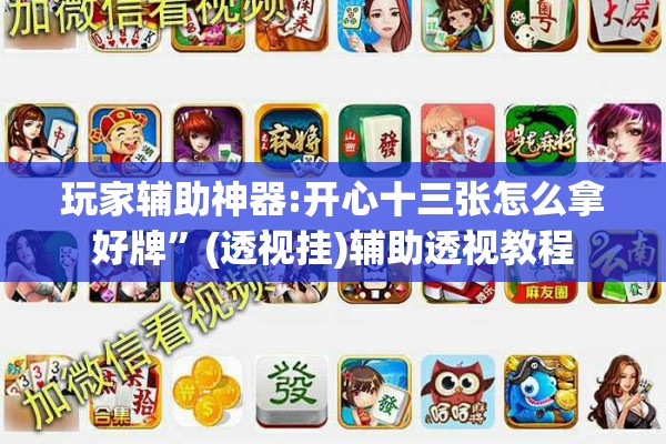 玩家辅助神器:开心十三张怎么拿好牌”(透视挂)辅助透视教程