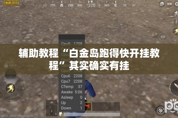 辅助教程“白金岛跑得快开挂教程”其实确实有挂
