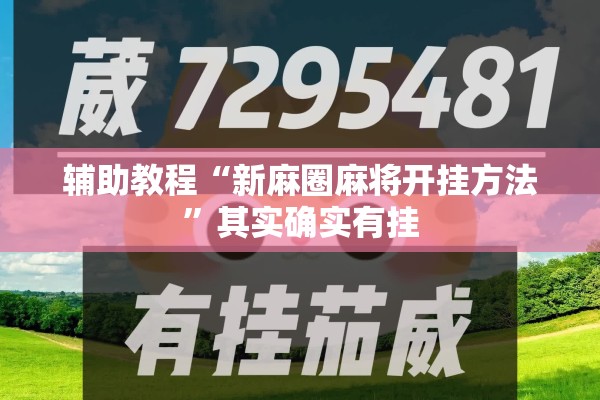 辅助教程“新麻圈麻将开挂方法”其实确实有挂