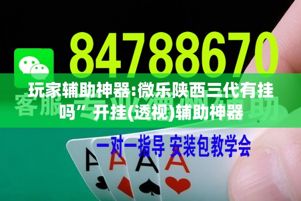 玩家辅助神器:微乐陕西三代有挂吗	”开挂(透视)辅助神器
