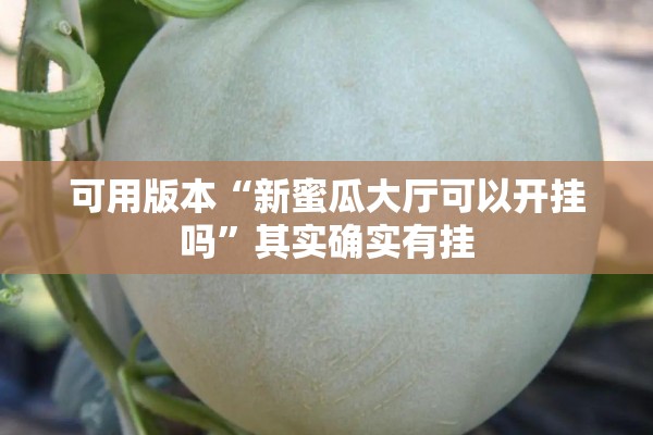 可用版本“新蜜瓜大厅可以开挂吗”其实确实有挂