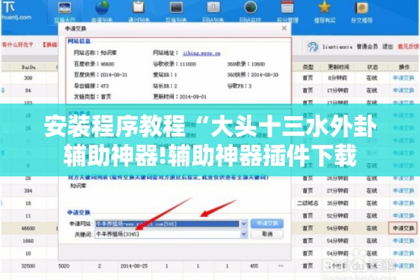 安装程序教程“大头十三水外卦辅助神器!辅助神器插件下载