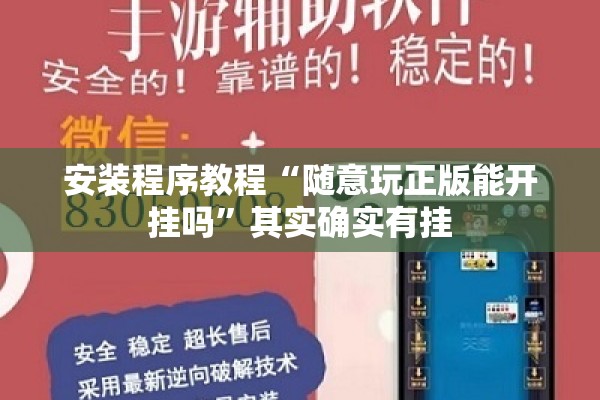 安装程序教程“随意玩正版能开挂吗”其实确实有挂