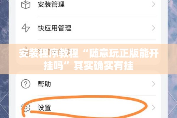安装程序教程“随意玩正版能开挂吗”其实确实有挂