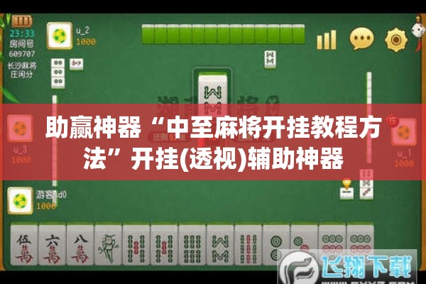 助赢神器“中至麻将开挂教程方法	”开挂(透视)辅助神器