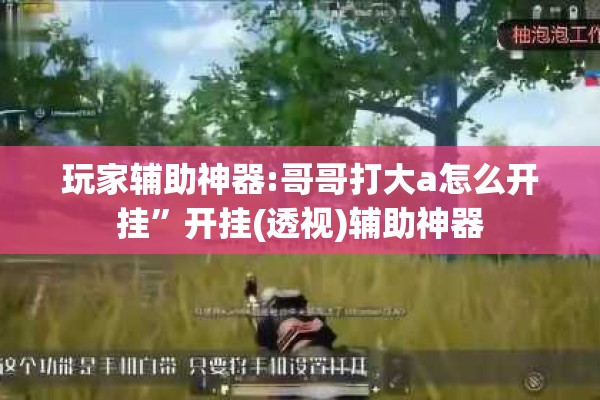 玩家辅助神器:哥哥打大a怎么开挂	”开挂(透视)辅助神器