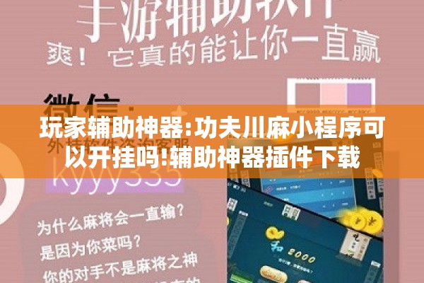 玩家辅助神器:功夫川麻小程序可以开挂吗!辅助神器插件下载 玩家辅助神器:功夫川麻小程序可以开挂吗!辅助神器插件下载