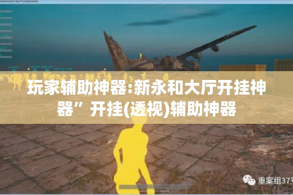 玩家辅助神器:新永和大厅开挂神器	”开挂(透视)辅助神器