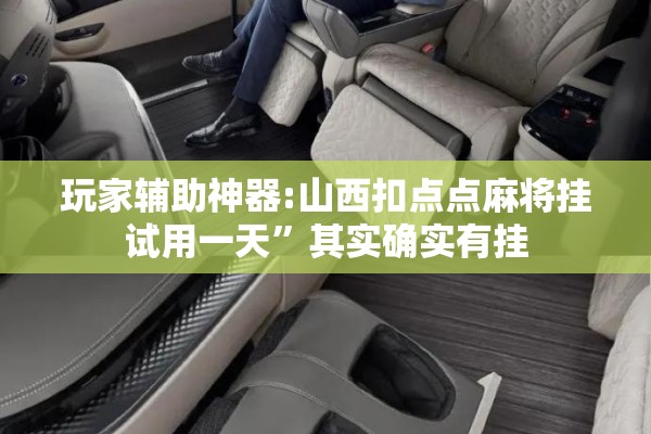 玩家辅助神器:山西扣点点麻将挂试用一天”其实确实有挂