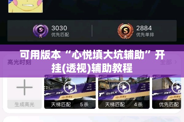 可用版本“心悦填大坑辅助”开挂(透视)辅助教程
