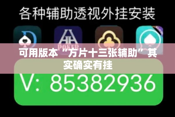 可用版本“方片十三张辅助”其实确实有挂
