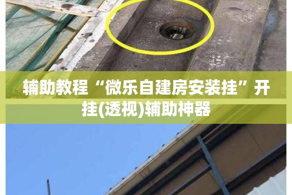 辅助教程“微乐自建房安装挂	”开挂(透视)辅助神器