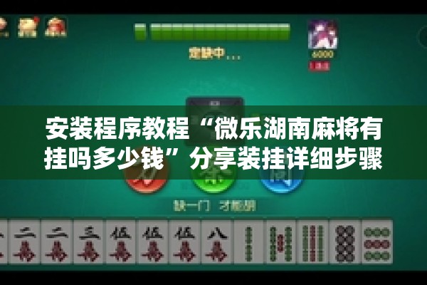 安装程序教程“微乐湖南麻将有挂吗多少钱”分享装挂详细步骤