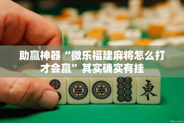 助赢神器“微乐福建麻将怎么打才会赢”其实确实有挂