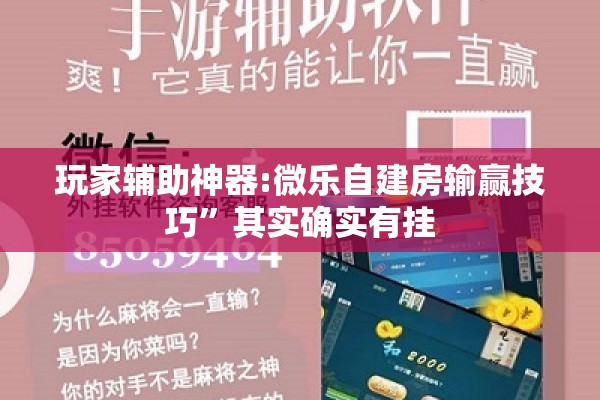 玩家辅助神器:微乐自建房输赢技巧”其实确实有挂