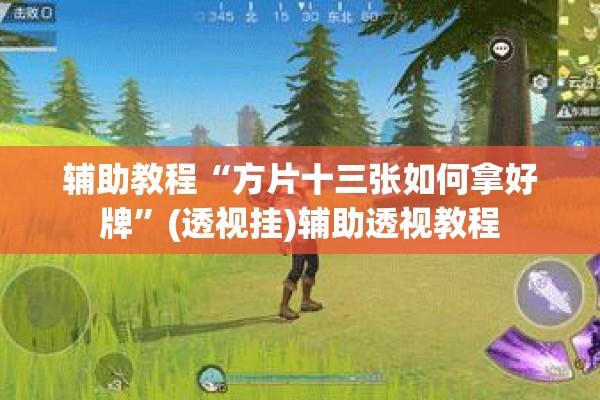 辅助教程“方片十三张如何拿好牌”(透视挂)辅助透视教程