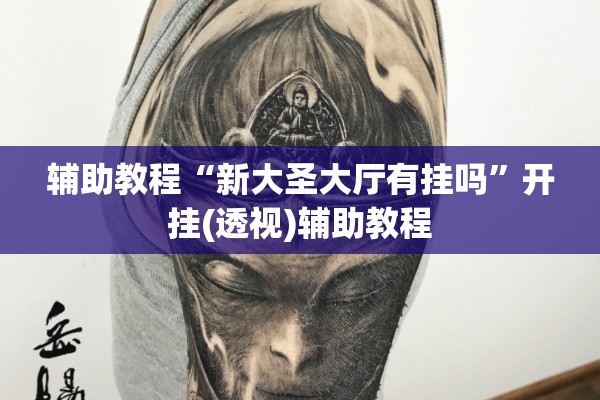 辅助教程“新大圣大厅有挂吗”开挂(透视)辅助教程