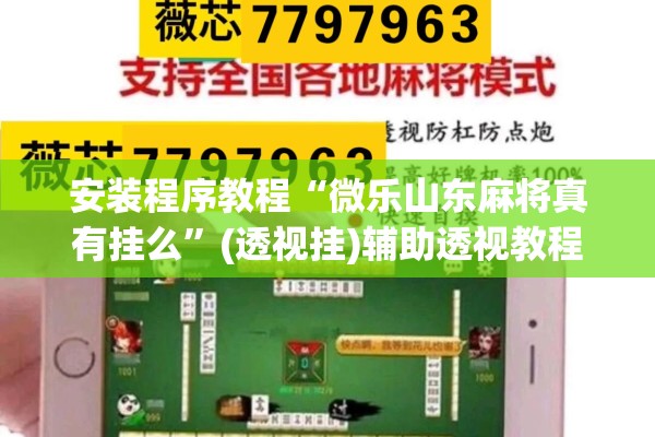 安装程序教程“微乐山东麻将真有挂么”(透视挂)辅助透视教程