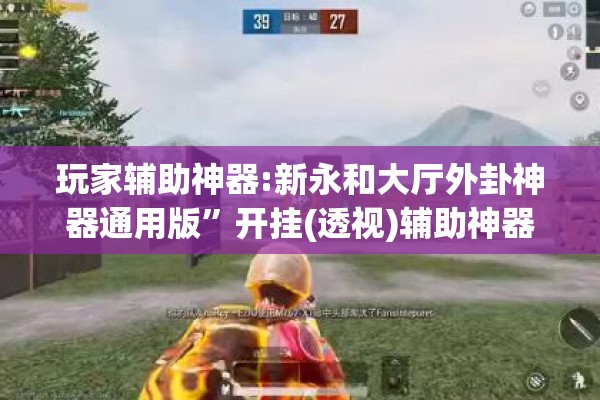 玩家辅助神器:新永和大厅外卦神器通用版”开挂(透视)辅助神器