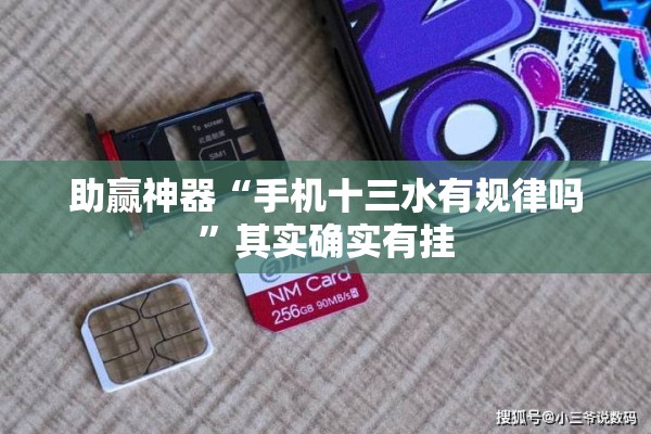 助赢神器“手机十三水有规律吗”其实确实有挂