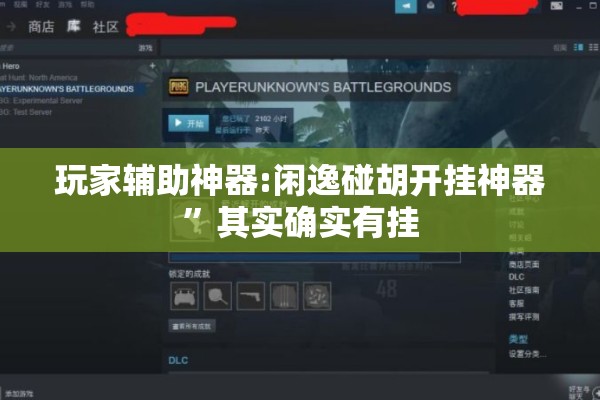 玩家辅助神器:闲逸碰胡开挂神器”其实确实有挂