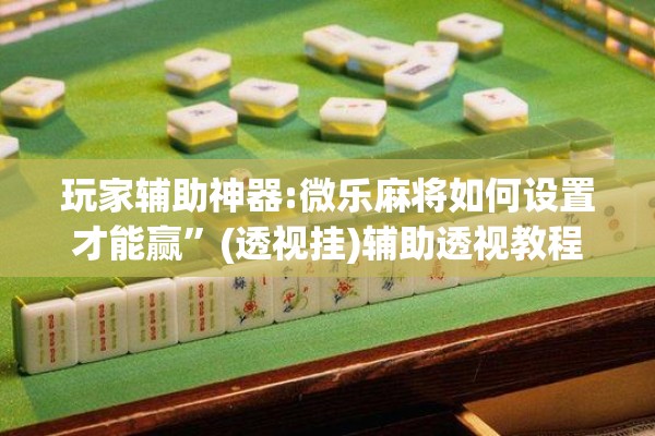 玩家辅助神器:微乐麻将如何设置才能赢	”(透视挂)辅助透视教程