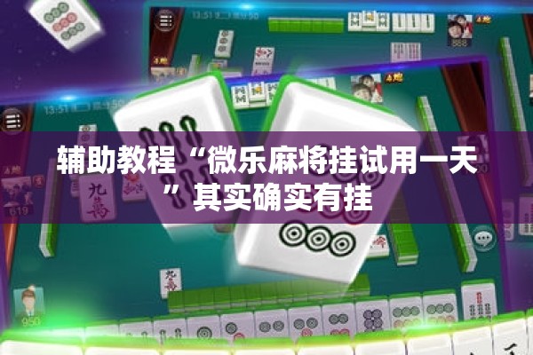 辅助教程“微乐麻将挂试用一天”其实确实有挂
