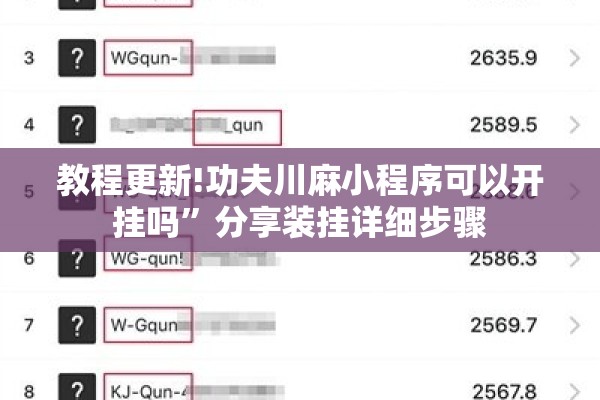教程更新!功夫川麻小程序可以开挂吗”分享装挂详细步骤