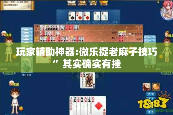 玩家辅助神器:微乐捉老麻子技巧	”其实确实有挂