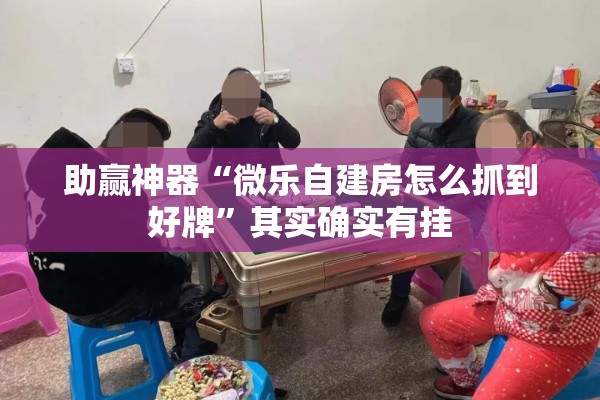 助赢神器“微乐自建房怎么抓到好牌	”其实确实有挂