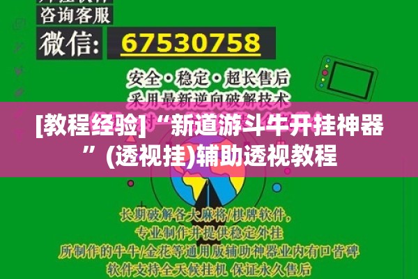 [教程经验]“新道游斗牛开挂神器”(透视挂)辅助透视教程