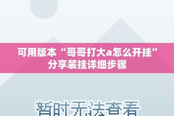 可用版本“哥哥打大a怎么开挂”分享装挂详细步骤