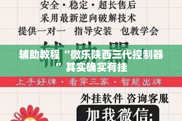 辅助教程“微乐陕西三代控制器”其实确实有挂