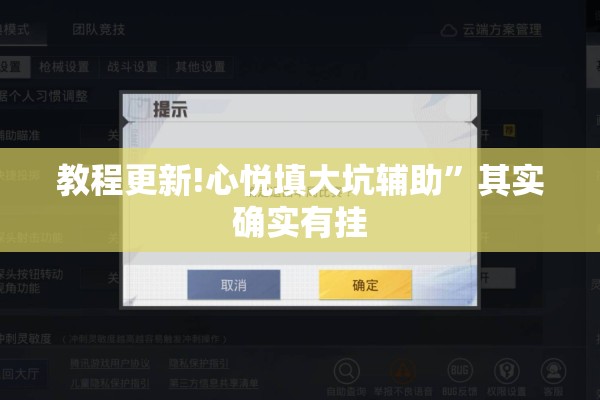 教程更新!心悦填大坑辅助”其实确实有挂