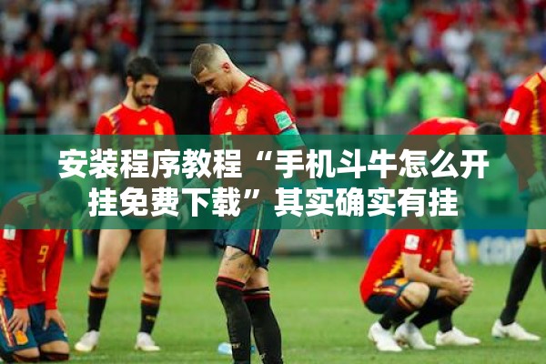 安装程序教程“手机斗牛怎么开挂免费下载”其实确实有挂