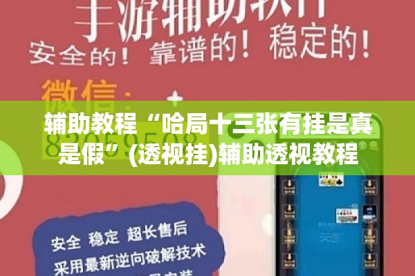 辅助教程“哈局十三张有挂是真是假”(透视挂)辅助透视教程