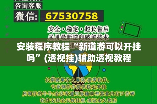 安装程序教程“新道游可以开挂吗”(透视挂)辅助透视教程