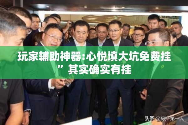 玩家辅助神器:心悦填大坑免费挂	”其实确实有挂
