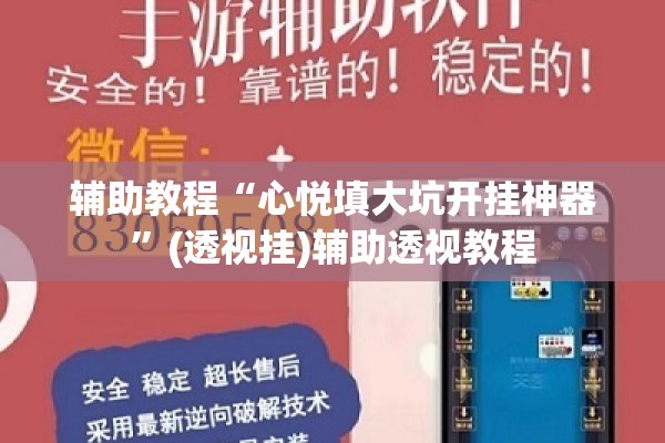 辅助教程“心悦填大坑开挂神器”(透视挂)辅助透视教程