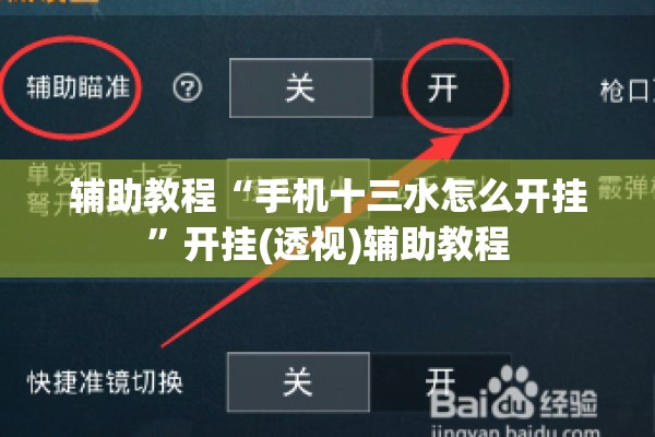 辅助教程“手机十三水怎么开挂”开挂(透视)辅助教程
