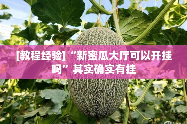 [教程经验]“新蜜瓜大厅可以开挂吗	”其实确实有挂