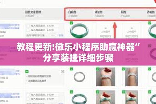 教程更新!微乐小程序助赢神器”分享装挂详细步骤