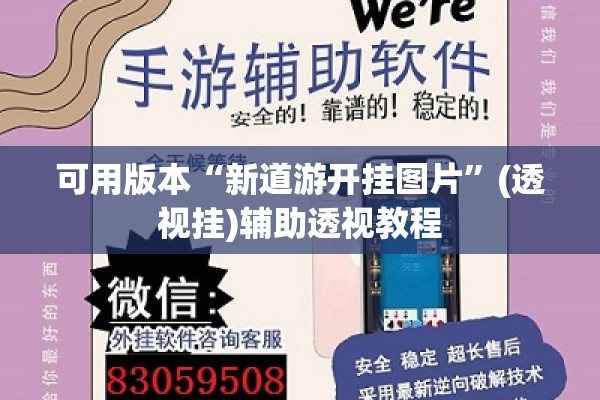 可用版本“新道游开挂图片”(透视挂)辅助透视教程