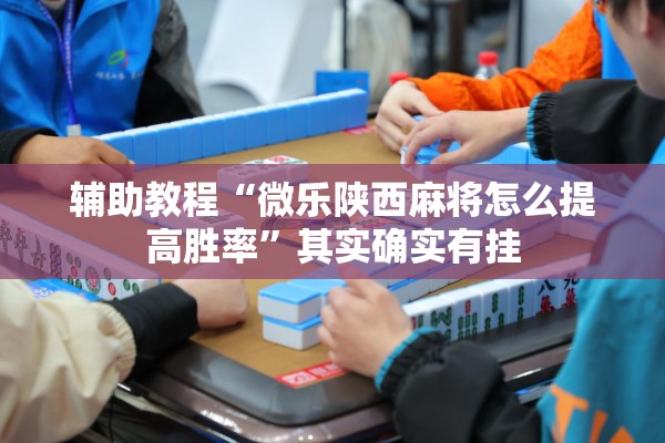 辅助教程“微乐陕西麻将怎么提高胜率	”其实确实有挂