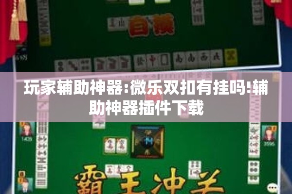 玩家辅助神器:微乐双扣有挂吗!辅助神器插件下载