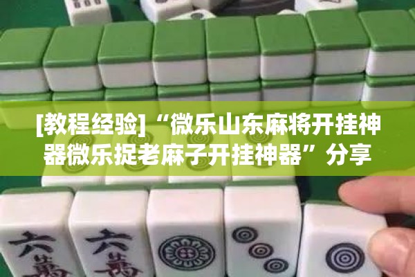 [教程经验]“微乐山东麻将开挂神器微乐捉老麻子开挂神器”分享装挂详细步骤
