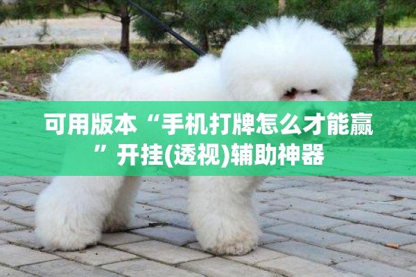 可用版本“手机打牌怎么才能赢”开挂(透视)辅助神器