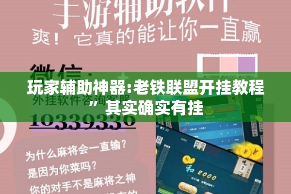 玩家辅助神器:老铁联盟开挂教程	”其实确实有挂