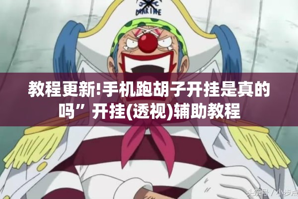 教程更新!手机跑胡子开挂是真的吗”开挂(透视)辅助教程