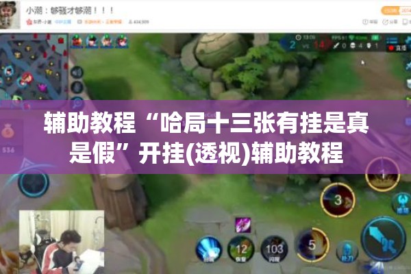 辅助教程“哈局十三张有挂是真是假”开挂(透视)辅助教程